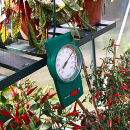 Zeige Details für Vitavia Min-Max Thermometer für Gewächshauser Bild von Vitavia Min-Max Thermometer für Gewächshauser