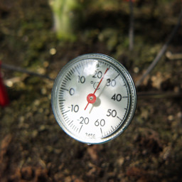 Bild von Vitavia Erdthermometer für Gewächshäuser