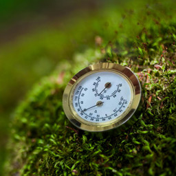 Zeige Details für Vitavia Hygrometer für Gewächshäuser Bild von Vitavia Hygrometer für Gewächshäuser