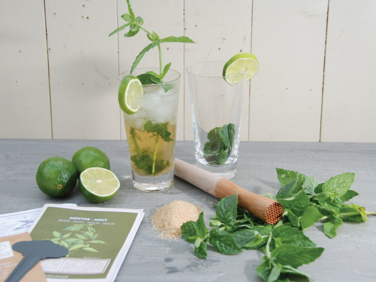 Mojito Set Mojito Set