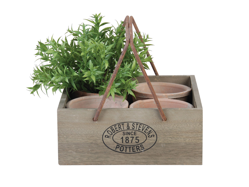 Bild von 4 Terracotta Töpfchen im Holzkasten