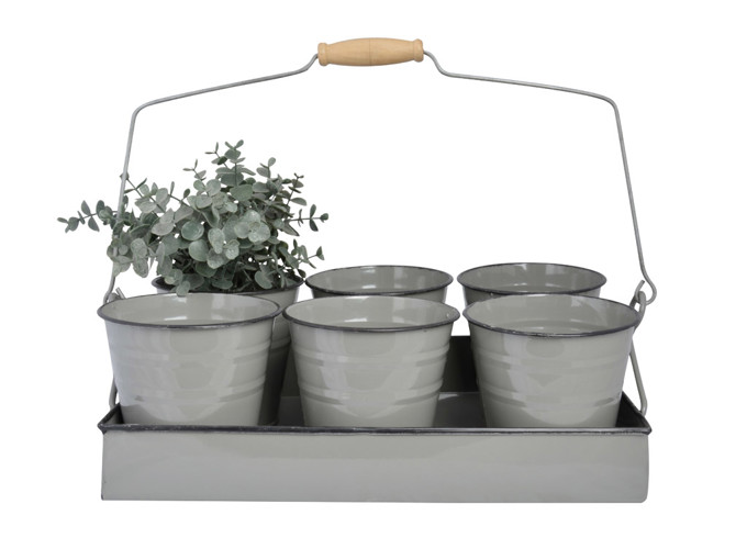 Bild von Tablett mit 6 Pflanztöpfchen grau