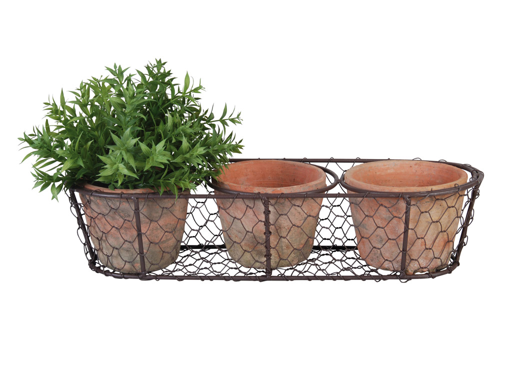 Bild von 3 Terracotta Töpfchen im Drahtkörbchen