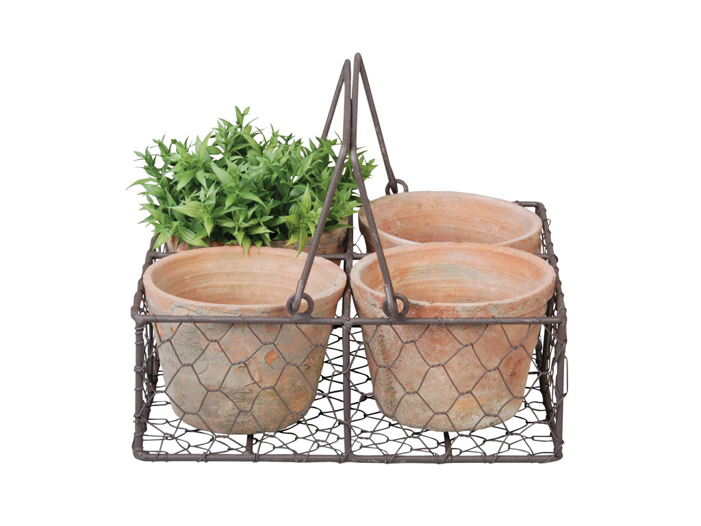 Bild von 4 Terracotta Töpfchen im Drahtkörbchen