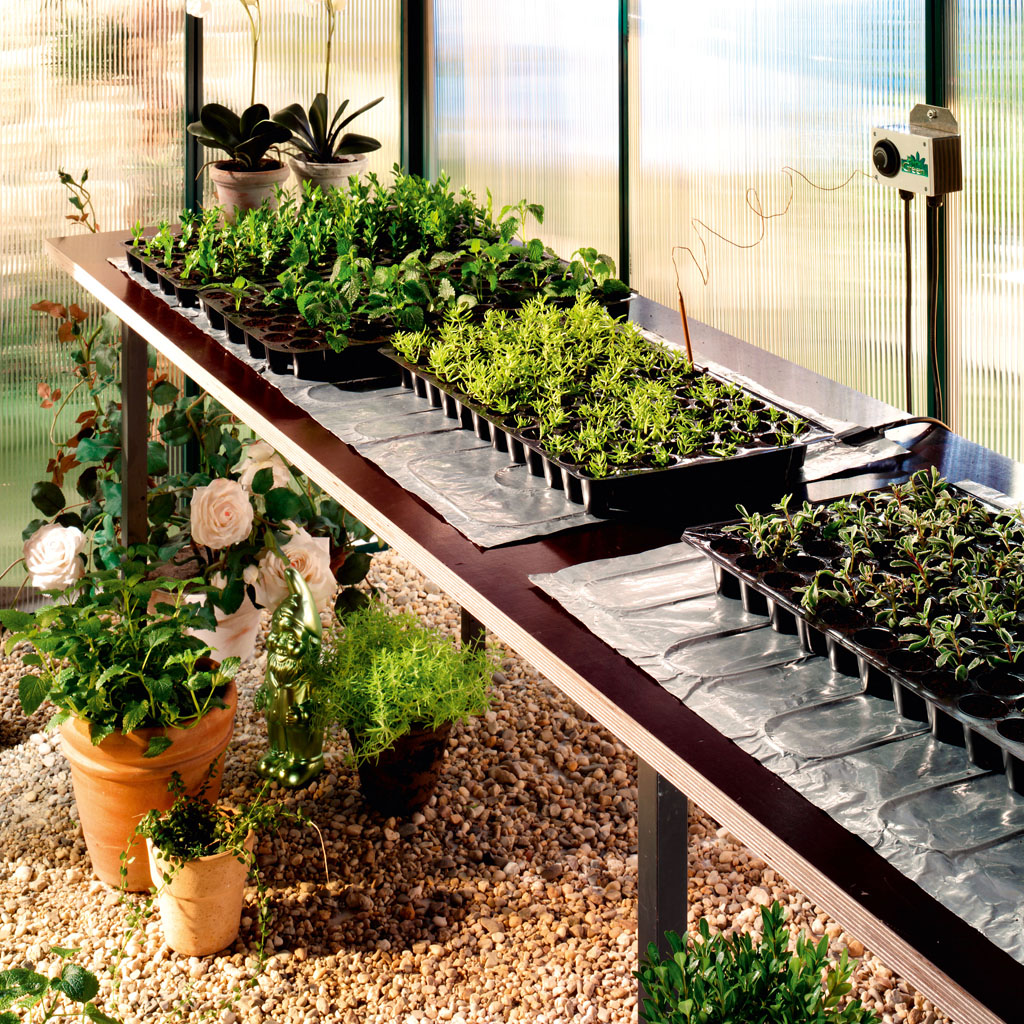 Bild von Biogreen Sahara Heizmatte 40 x 75 cm