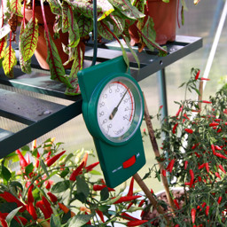 Bild von Vitavia Min-Max Thermometer für Gewächshauser