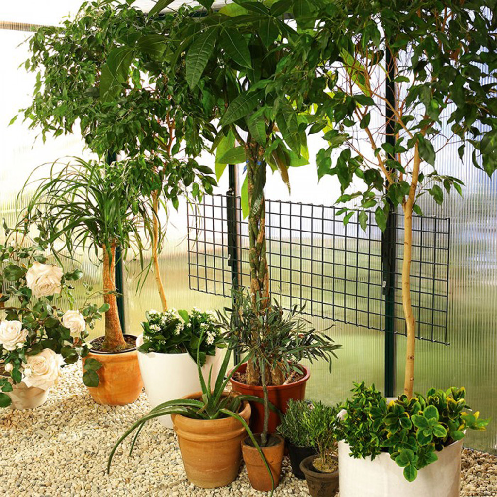 Bild von Biogreen Gewächshaus Klapptisch Bruno