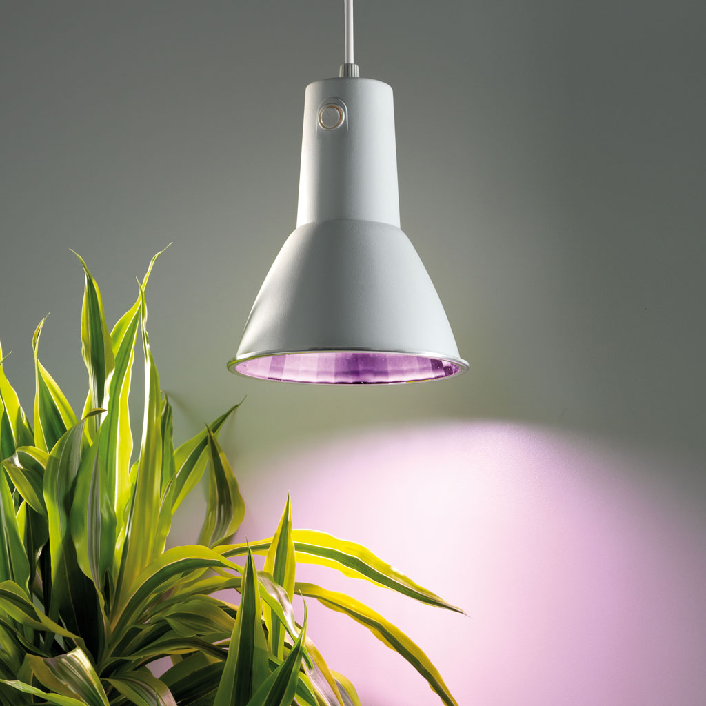Bild von Biogreen Energiespar Pflanzenleuchte L 15