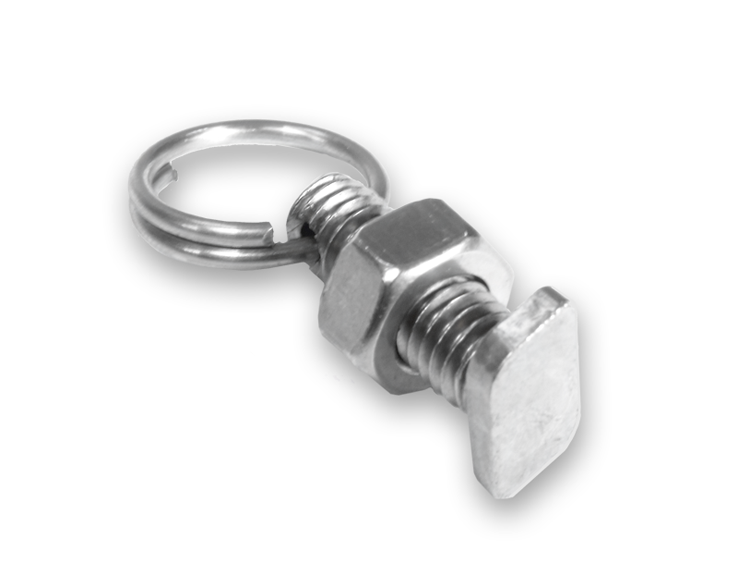 Bild von Edelstahl Hammerkopfschrauben mit Mutter und Ring