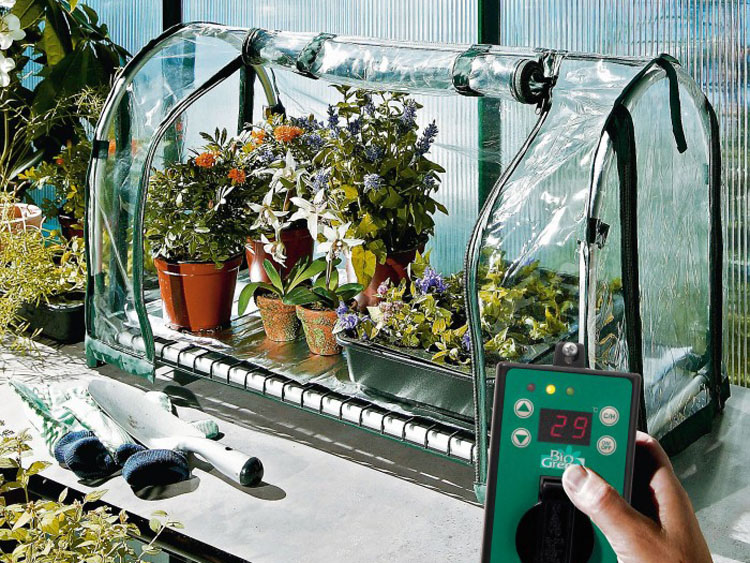 Bild von Biogreen Grand Top Aufzuchtstation