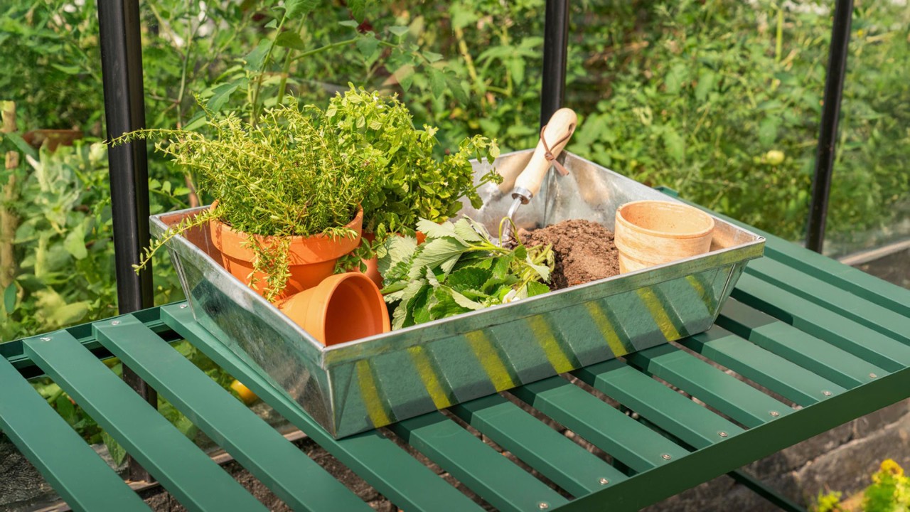 Vitavia Gewächshaus Pflanzwanne